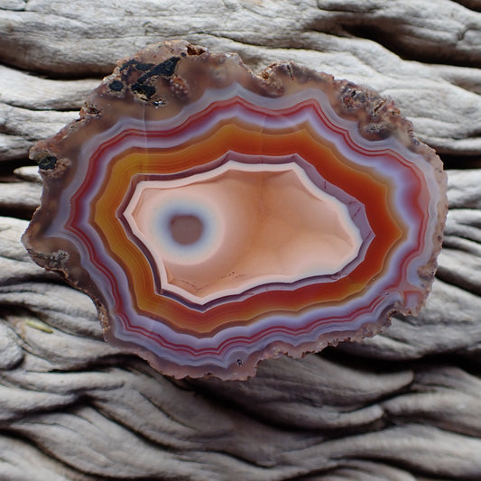 Polished Malawi agate from Ngabu region with stunning orange red and purple banding with an eye in a peach centre