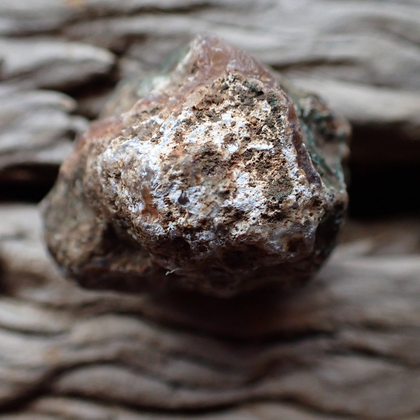 Unpolished rough side of Malawi agate showing natural texture