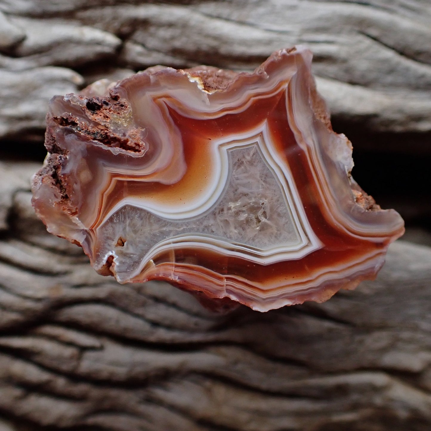 Polished Malawi agate from Ngabu region with striking red banding and a strong flow channel