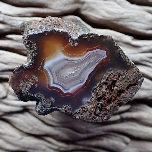 Polished Malawi agate from Ngabu region with a lovely opaque red/brown outer band surrounding a white banded centre