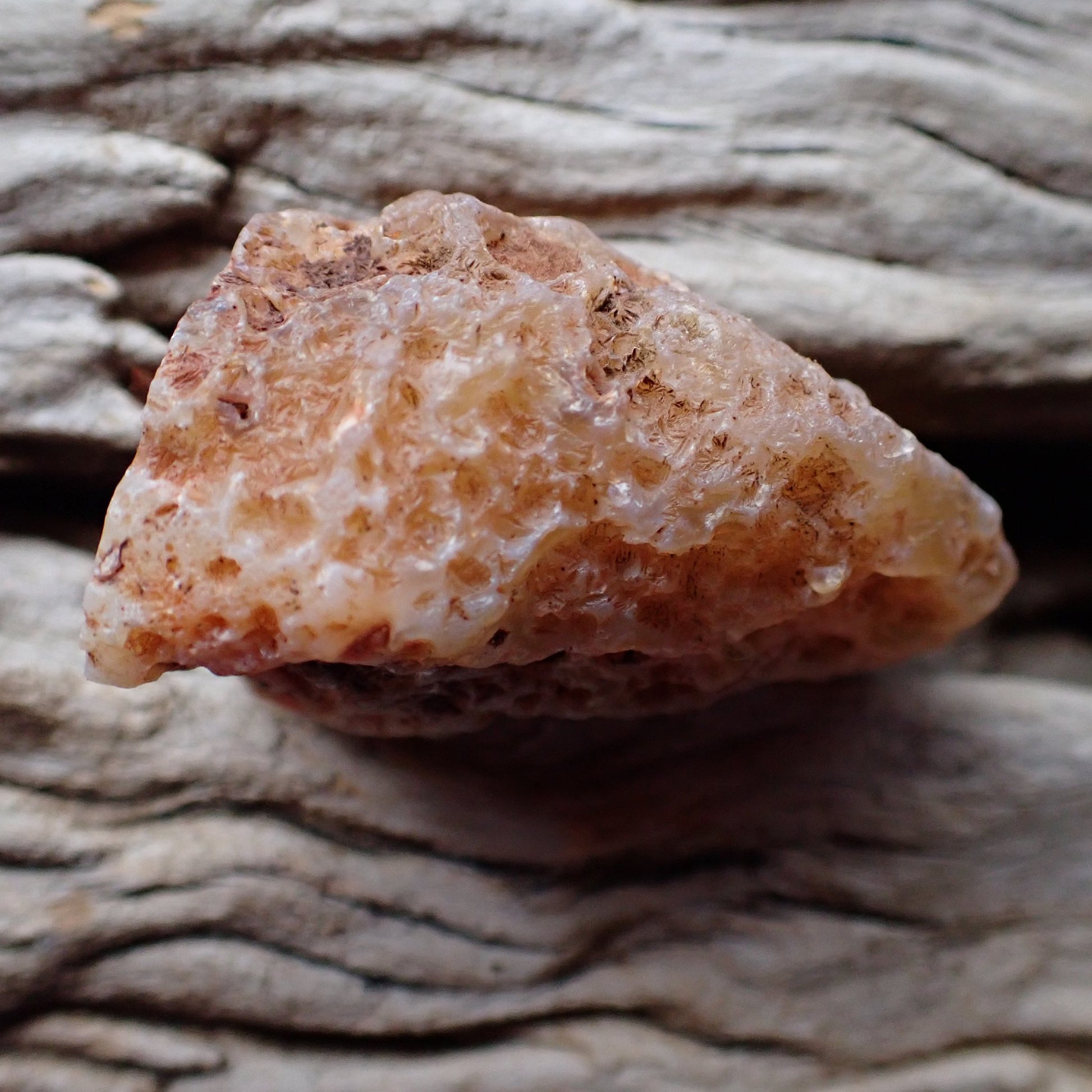 Unpolished rough side of Malawi agate showing natural texture

