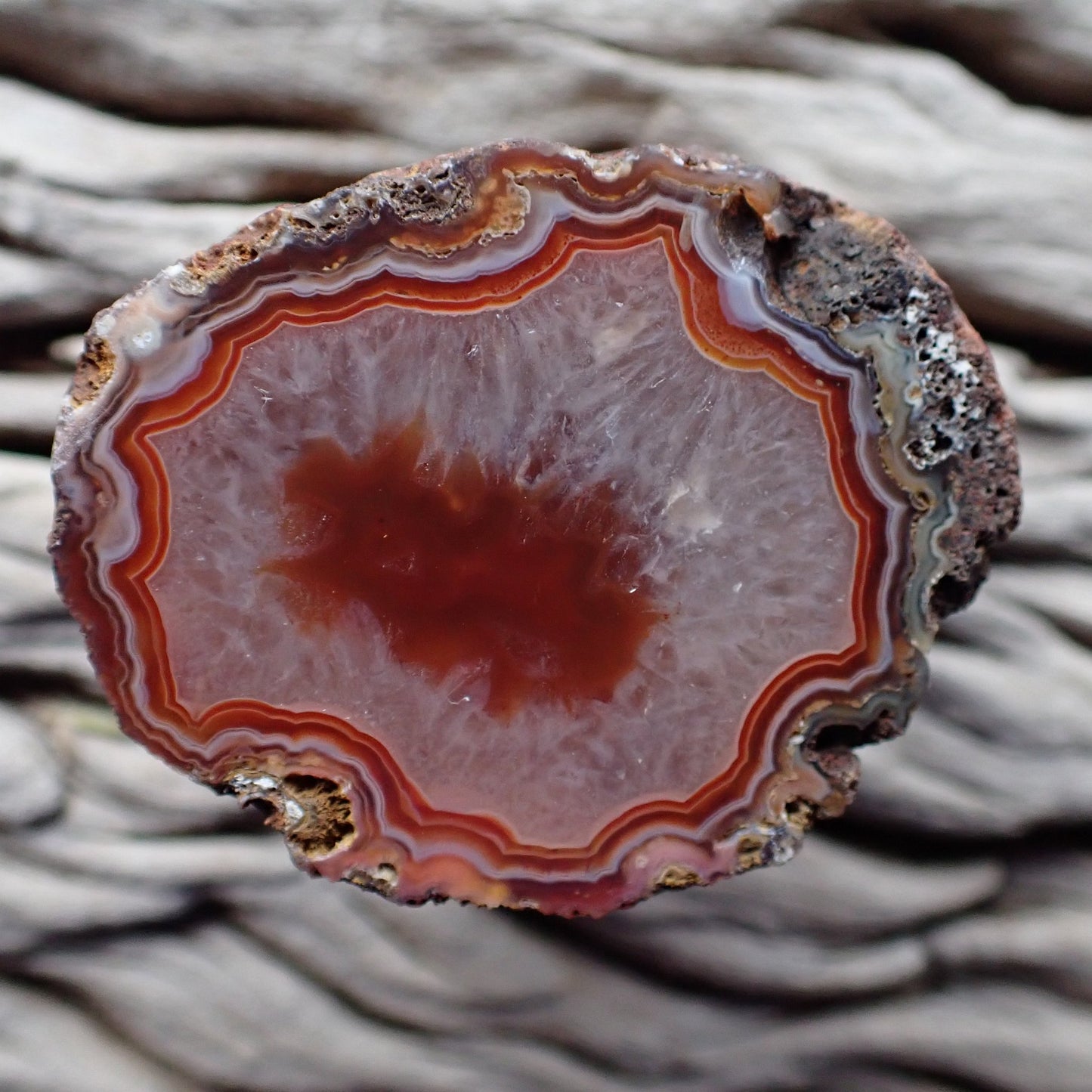 Polished Malawi agate from Ngabu region with striking bold red/orange banding around a large crystalline centre with a red floater