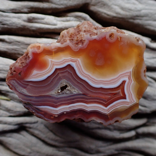 Polished Malawi agate from Ngabu region with soft orange/yellows going into deep red banding with a double chamber and flow channel