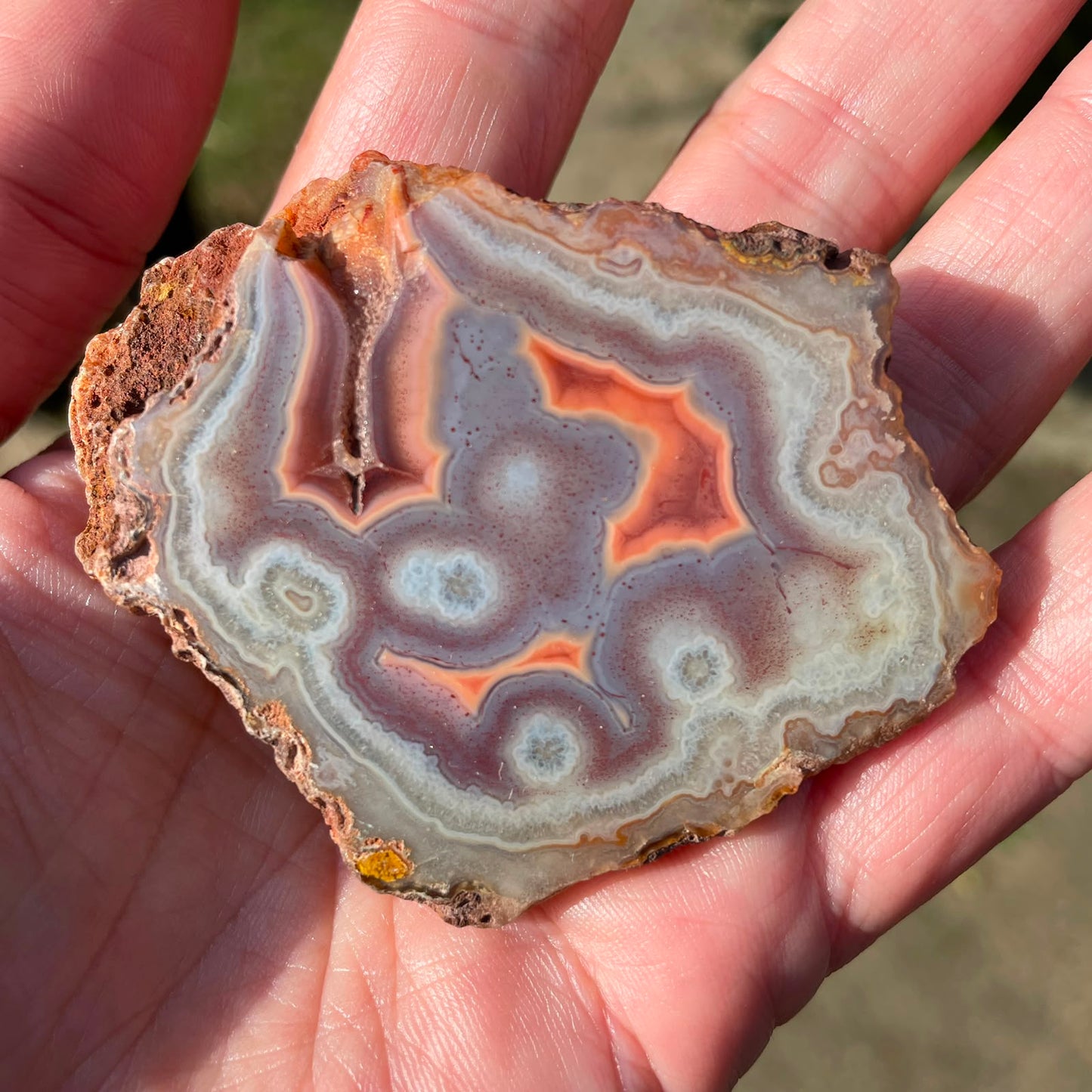 Multiple eyes Malawi agate 62mm – in-hand size reference, blue-grey to purple-mauve chalcedony, 5+ eye formations, starburst sard-red floater, flow channel | SKU 000356