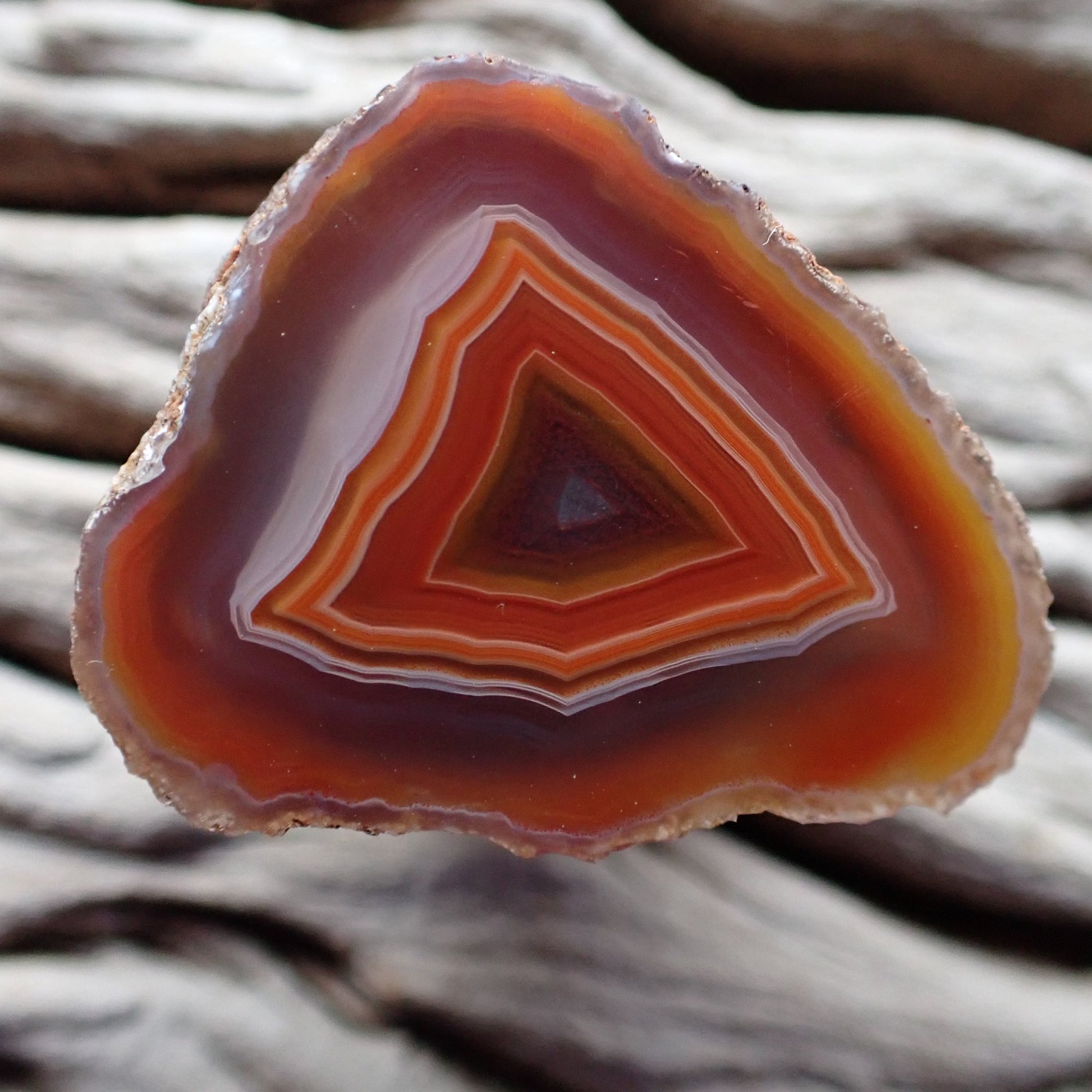 Natural hand-polished Malawi agate 33 mm – full specimen, rare triangular fortification banding in sard-red to carnelian-orange with lavender-white outer border, Ngabu deposit | SKU 000362