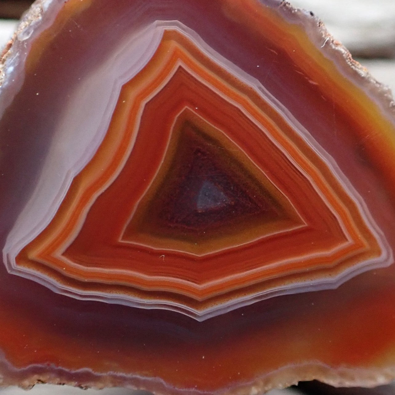 Close-up of Malawi agate 33 mm – concentric triangular banding detail, deep burgundy-red outer zone, sard-carnelian mid-zone, amber-orange inner band and small blue-grey chalcedony centre | SKU 000362