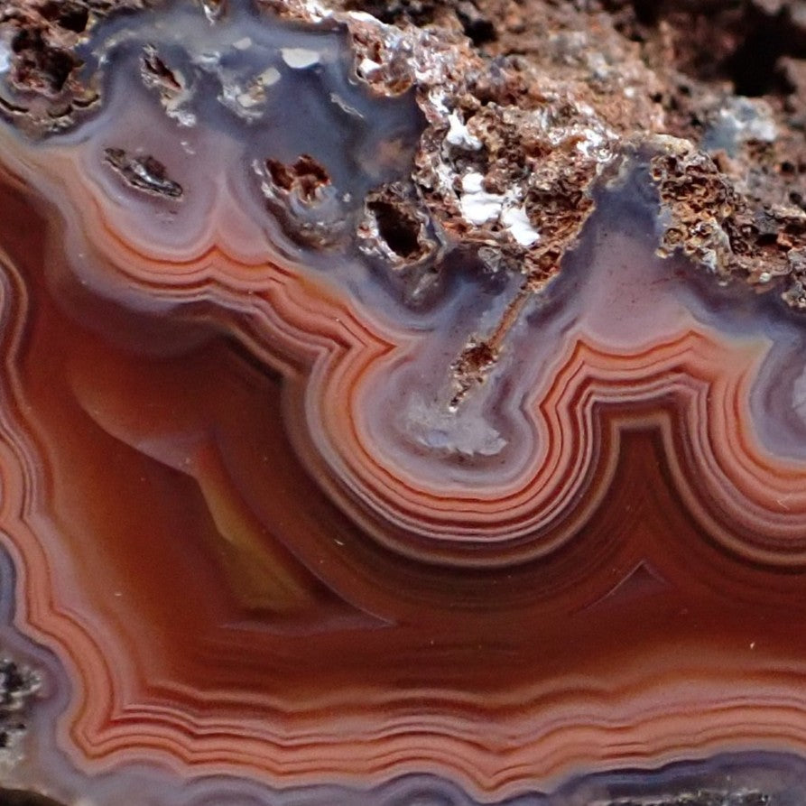 Close-up of Malawi agate 53 mm – true crazy lace banding detail, multi-directional sard-red to carnelian-orange sweeping arcs with blue-grey chalcedony zones | SKU 000363
