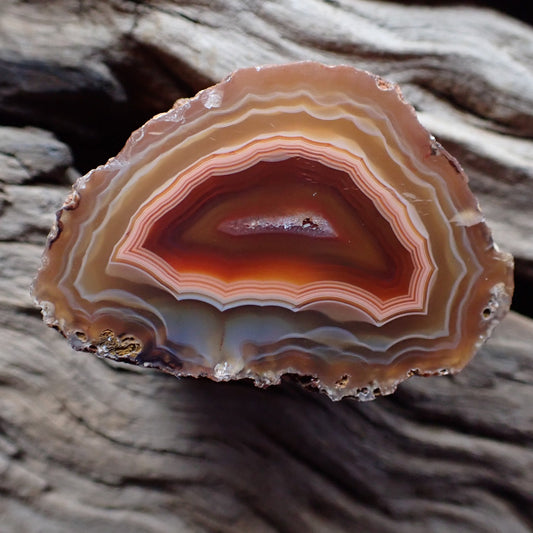 Polished Malawi agate from the Ngabu region with a lovely light salmon outer with ghost banding going into peach bands around a red centre with a small crystalline centre