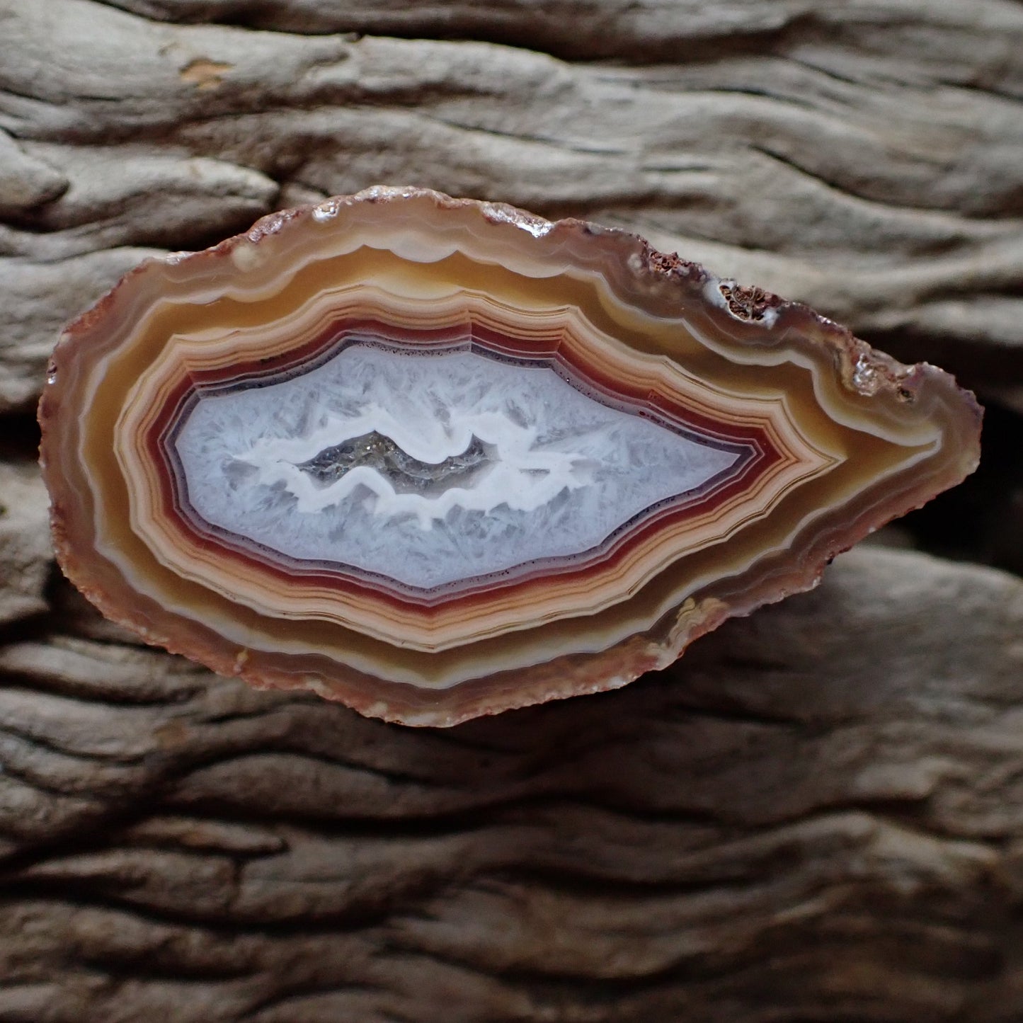 Natural hand-polished Malawi agate 60 mm – full specimen, dense golden-amber to sard-red fortification banding with scalloped inner edges framing pale blue-grey chalcedony inner zone, Ngabu deposit | SKU 000367