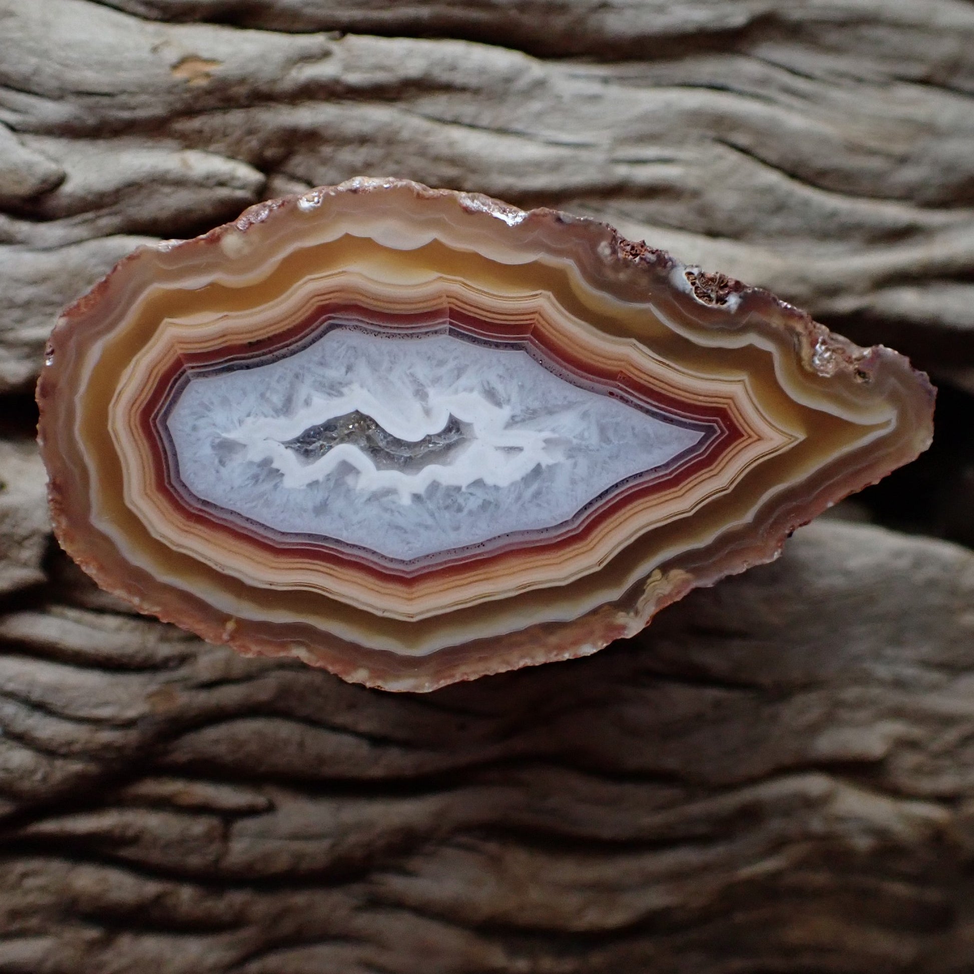 Natural hand-polished Malawi agate 60 mm – full specimen, dense golden-amber to sard-red fortification banding with scalloped inner edges framing pale blue-grey chalcedony inner zone, Ngabu deposit | SKU 000367