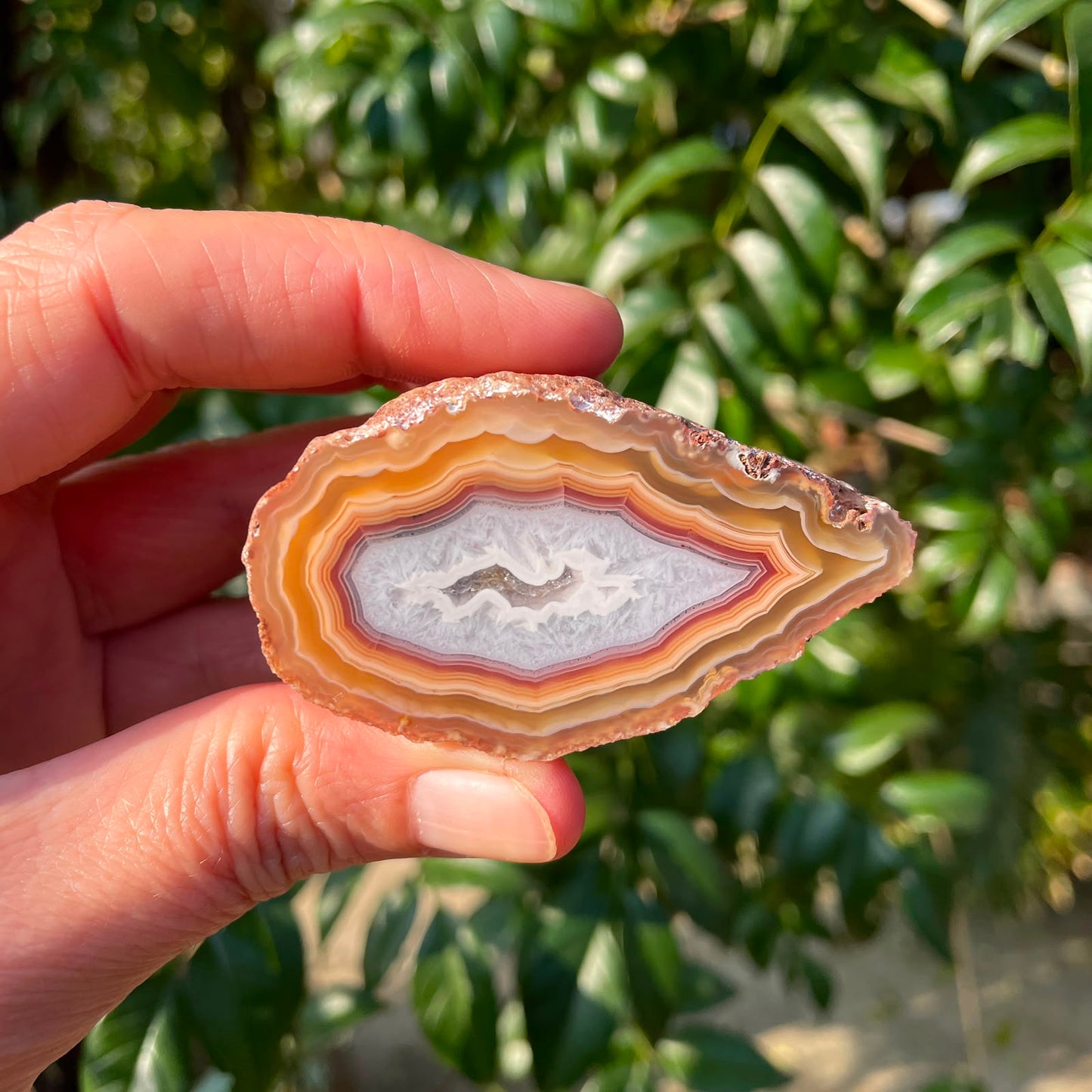 In-hand Malawi agate 60 mm – dense golden-amber to sard-red banding with scalloped inner edges, agate floater within pale blue-grey chalcedony centre, Ngabu deposit, hand-polished in South Africa | SKU 000367