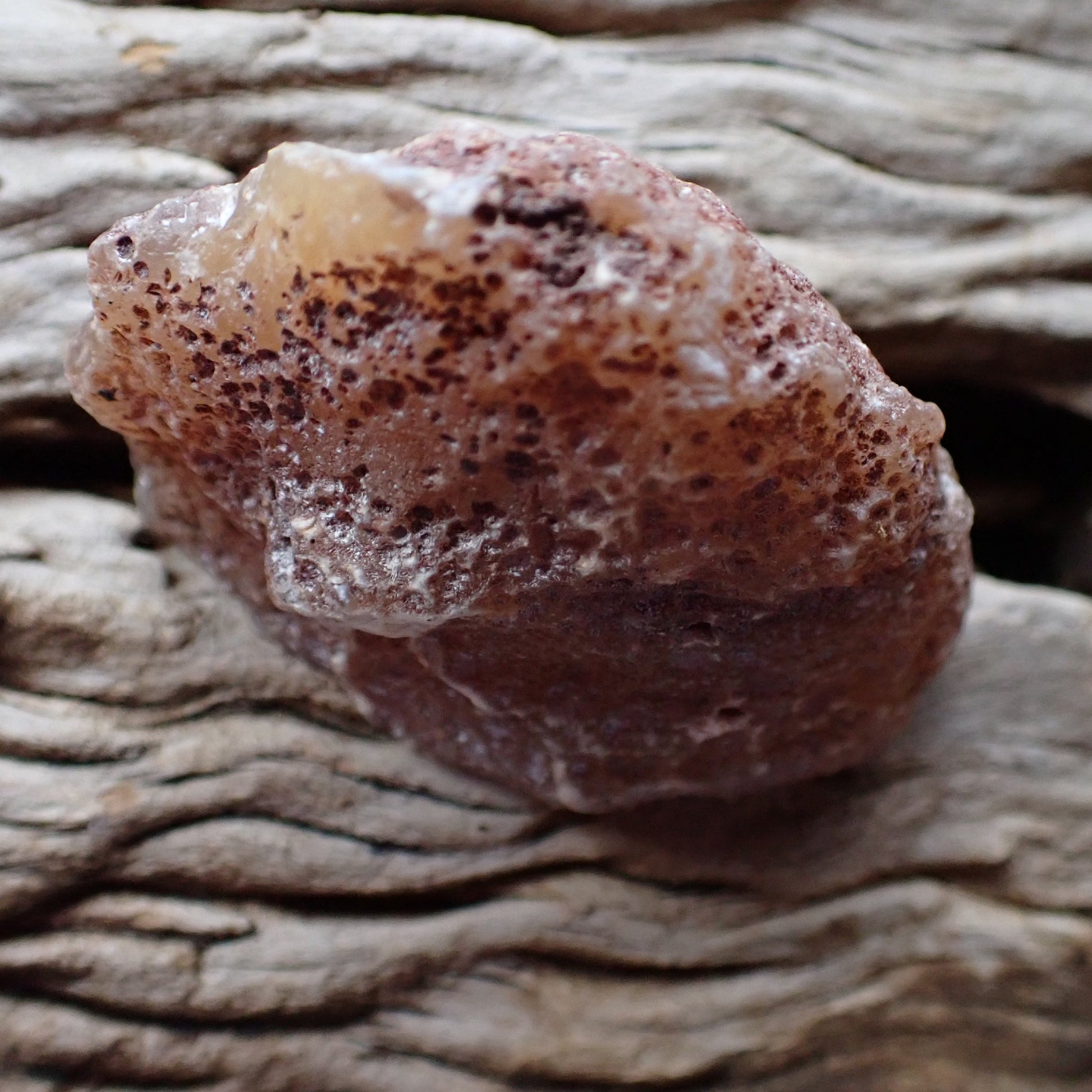 Back of Malawi agate 60 mm – natural nodule exterior, Ngabu deposit, hand-polished in South Africa | SKU 000367
