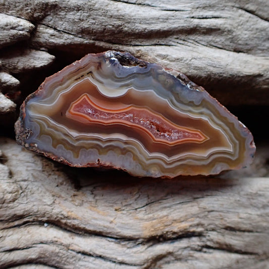 Polished Malawi agate from the Ngabu region with ghost banding around the perimeter and a striking crystalline centre ringed in a bright orange banding