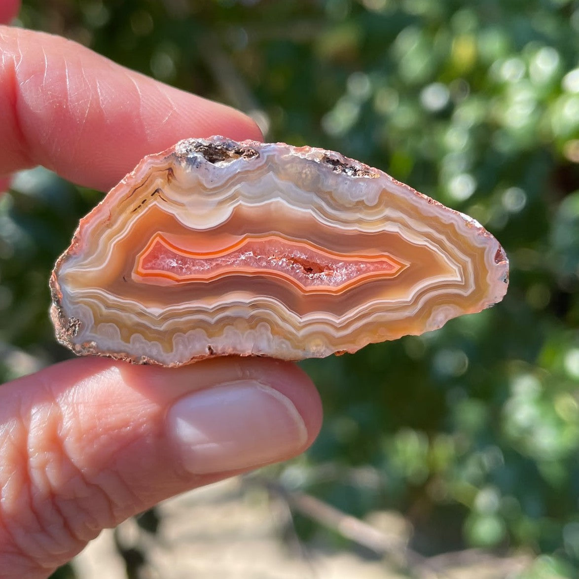 caramel-orange Malawi agate 46 mm – in-hand view, fortification banding, ghost banding, druzy inner zone, scalloped banding, vug, natural sunlight | SKU 000370