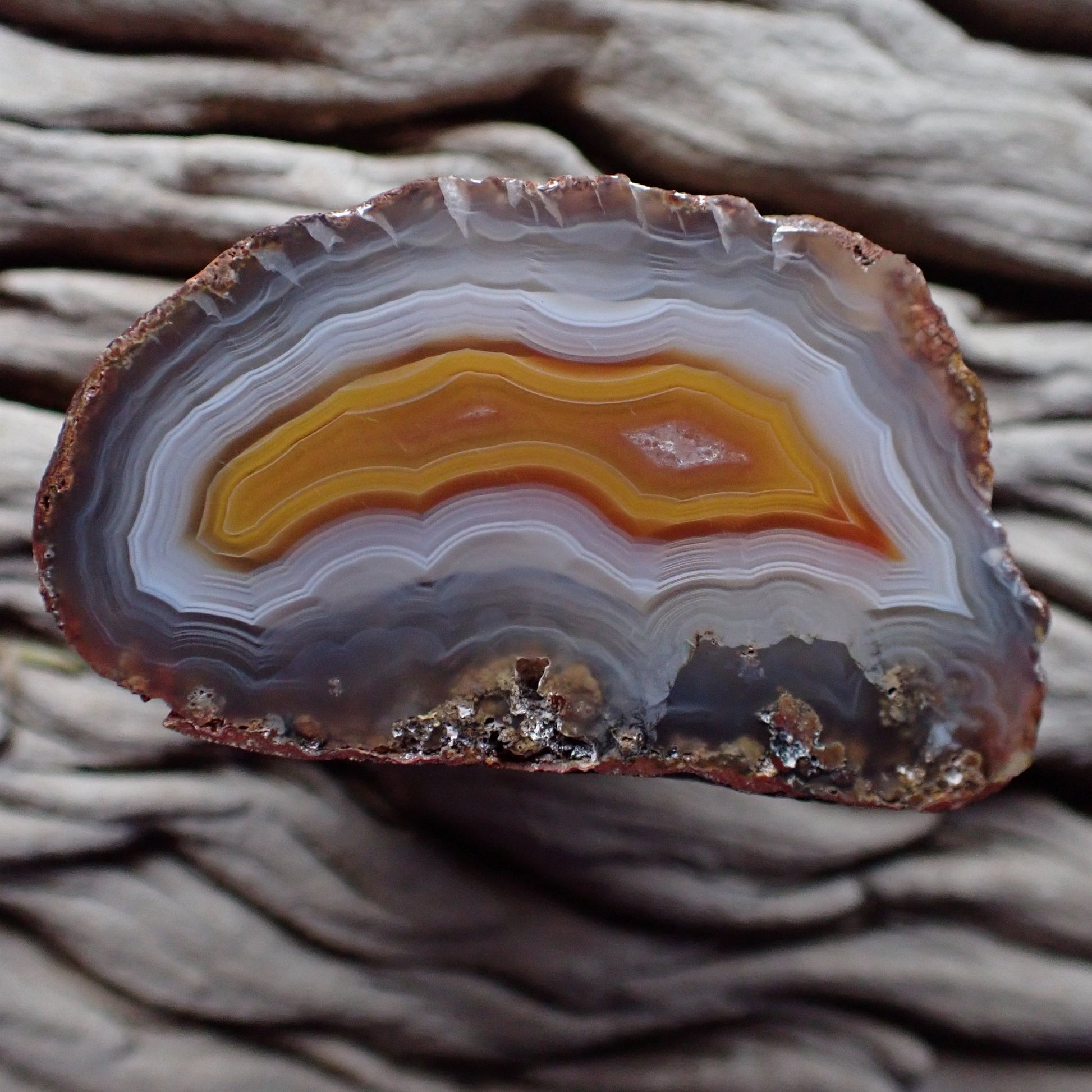 Natural hand-polished Malawi agate 51 mm – full specimen, golden-amber inner zone framed by sweeping blue-grey and white wavy banding, Ngabu deposit | SKU 000371