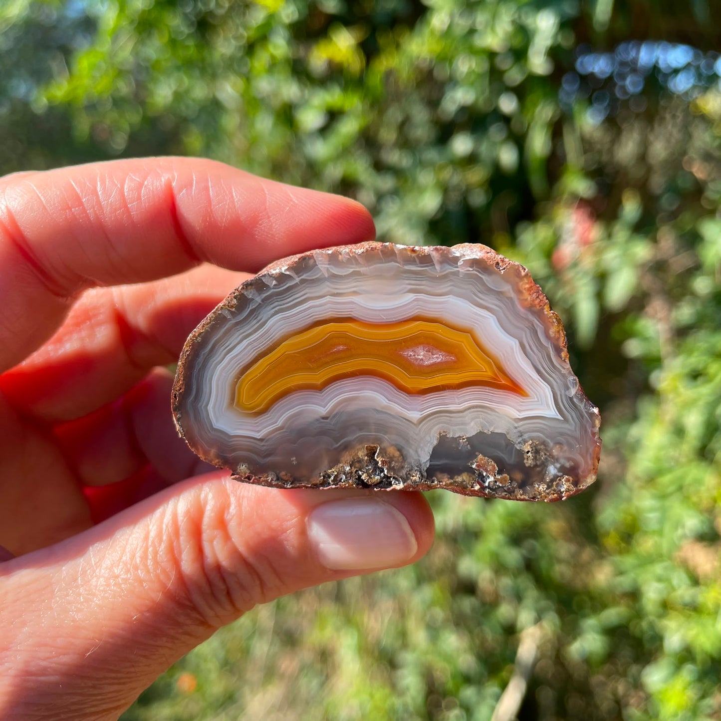 golden-amber Malawi agate 51 mm – in-hand view, parallax, ghost banding, fortification banding, natural inclusion, natural sunlight | SKU 000371