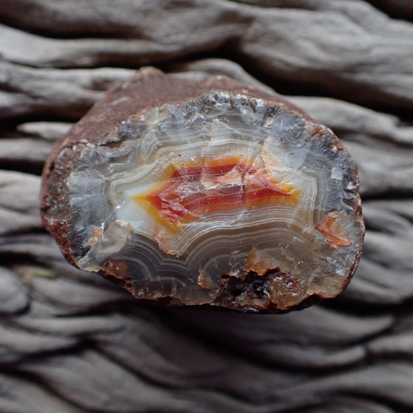 Unpolished back face of Malawi agate 51 mm – raw interior structure revealing vivid colour depth, Ngabu deposit, hand-polished in South Africa | SKU 000371