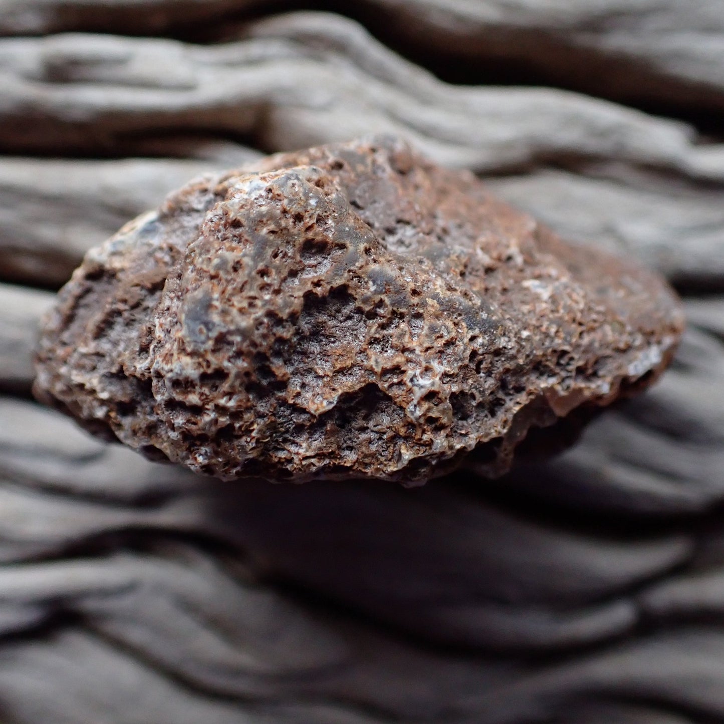 Back of Malawi agate 51 mm – heavily vesicular iron-stained exterior, Ngabu deposit, hand-polished in South Africa | SKU 000373