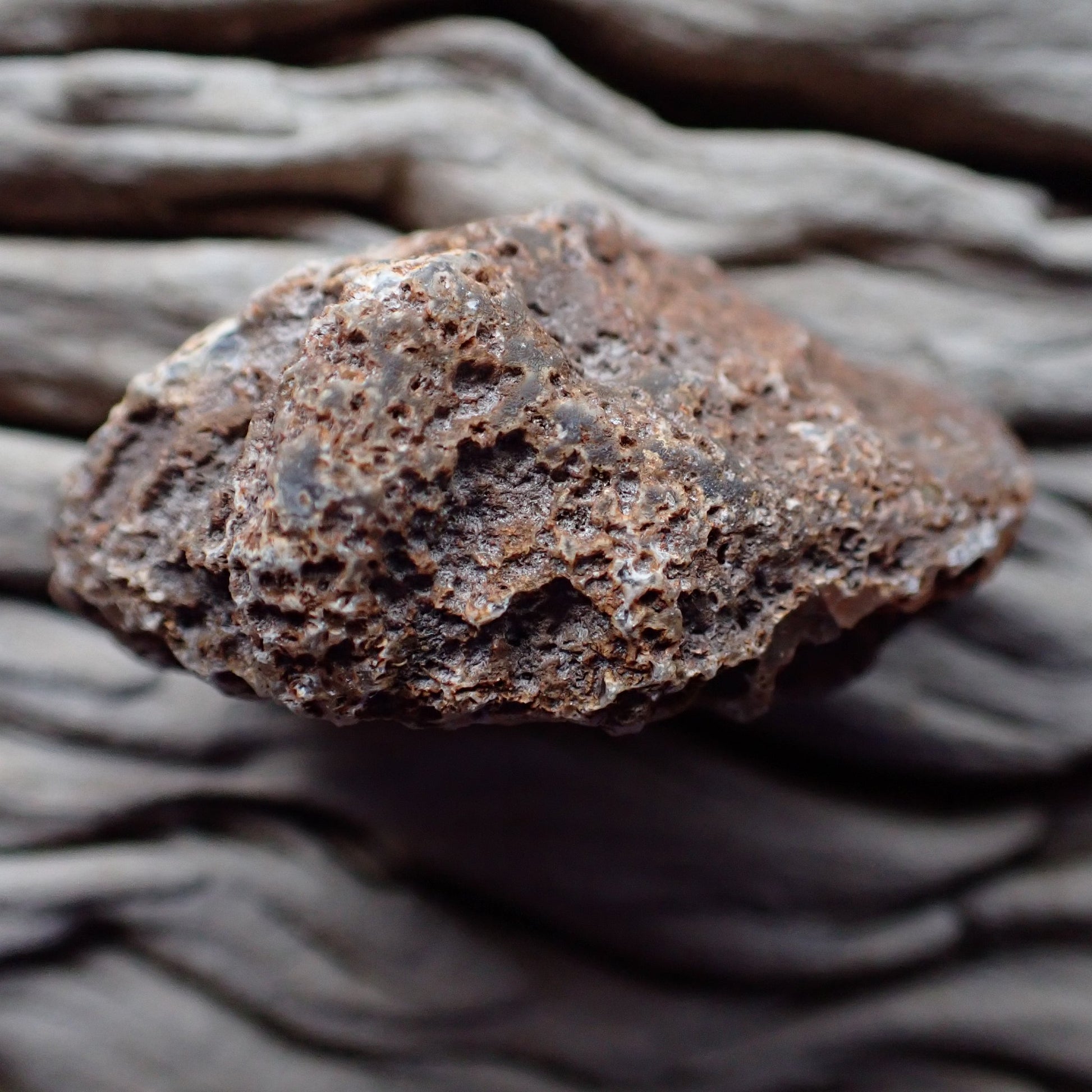 Back of Malawi agate 51 mm – heavily vesicular iron-stained exterior, Ngabu deposit, hand-polished in South Africa | SKU 000373