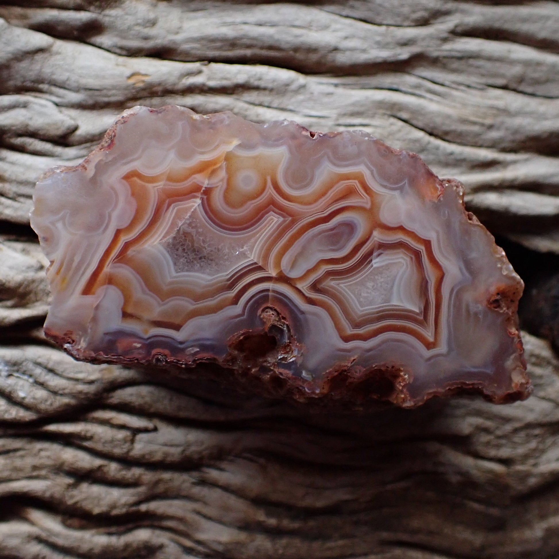 Natural hand-polished Malawi agate 80 mm – full face, crazy lace banding, eye, warm sard-carnelian to blue-grey chalcedony palette, Ngabu sourced | SKU 000374