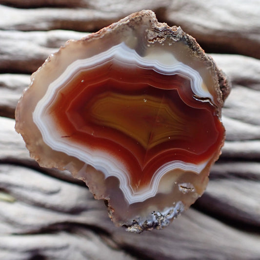 Polished Malawi agate from the Ngabu region with sriking white, red and yellow colouring