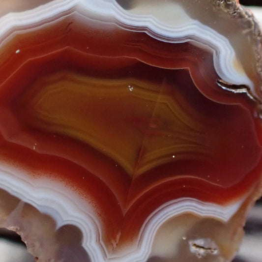 Close-up of a Malawi agate with a yellow centre, ringed by red and then by shite banding