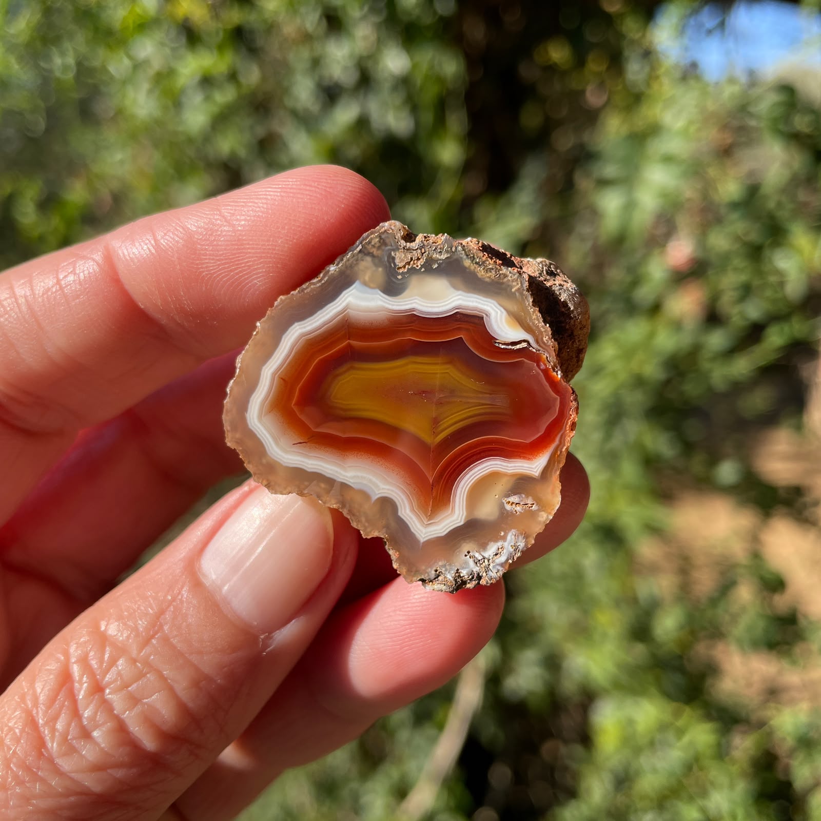 sard-carnelian Malawi agate 35 mm – in-hand view, shadow banding, scalloped banding, natural sunlight | SKU 000375