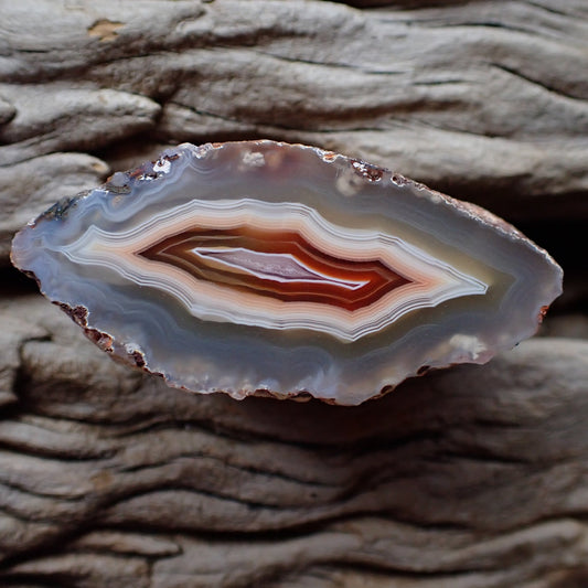 Polished Malawi agate from the Ngabu region with pale outer permieter going into lovely white banding, into a bold red and then a bright white band around the crystalline centre