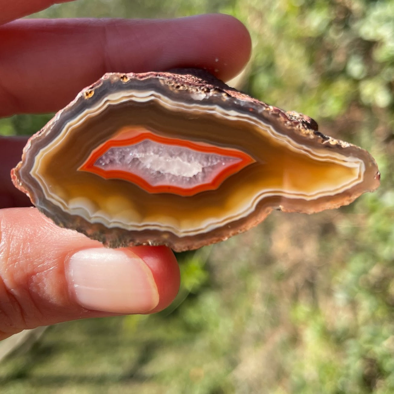 amber Malawi agate 49 mm – in-hand view, eye-form fortification banding, sard-carnelian contrast, ghost banding, crystalline centre, natural sunlight | SKU 000378