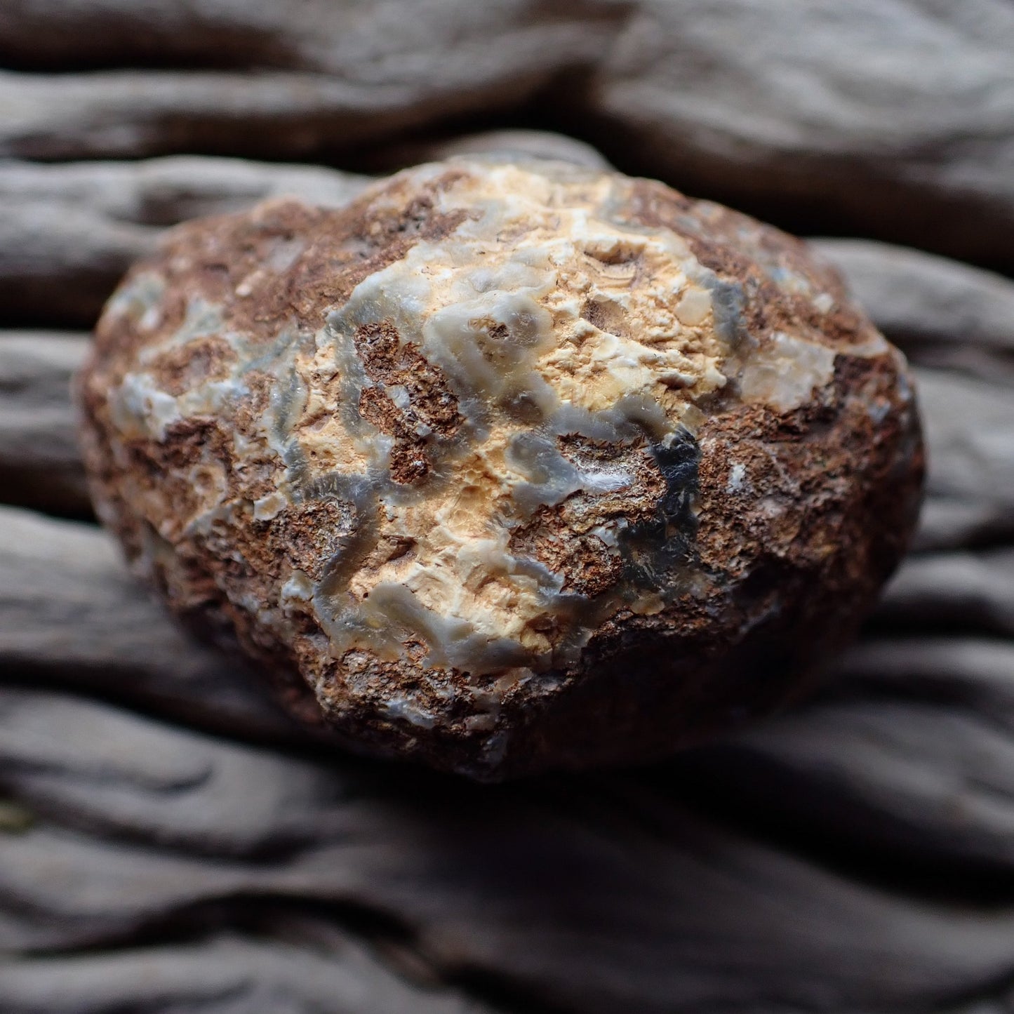 Unpolished rough side of Malawi agate showing natural texture
