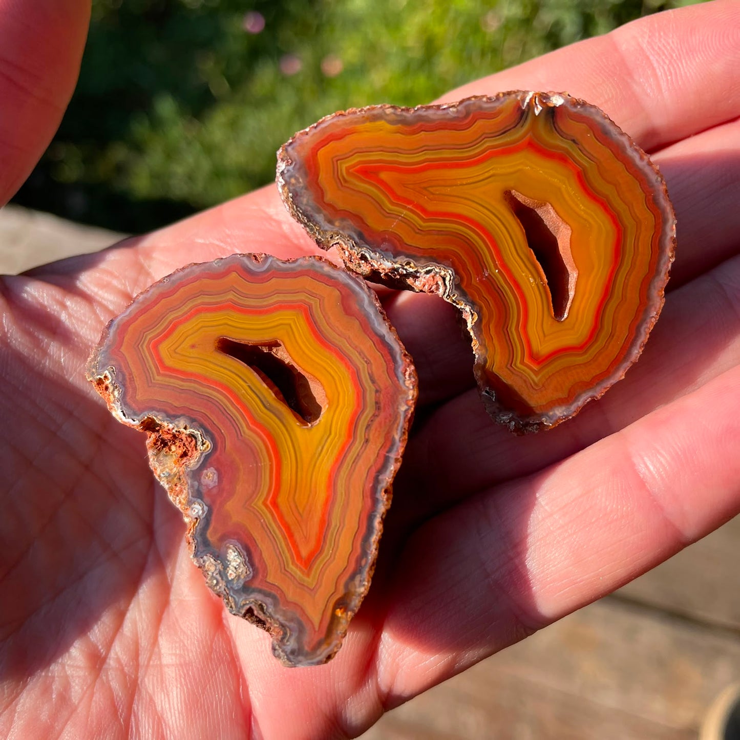 sard-carnelian Malawi agate matched pair 46 mm – in-hand view, mirrored fortification banding, vug ×2, druzy, blue-grey chalcedony border, natural sunlight | SKU 000382