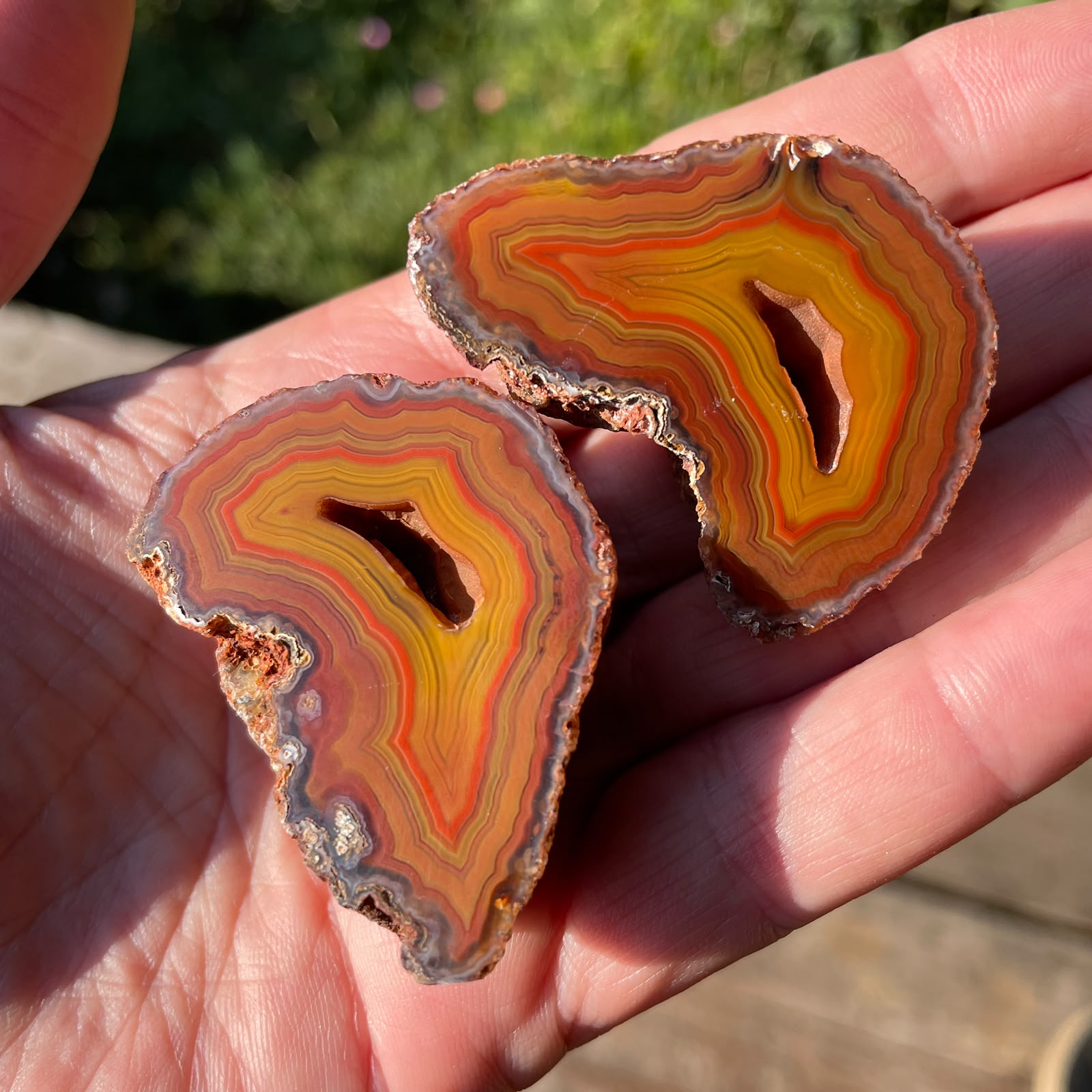 sard-carnelian Malawi agate matched pair 46 mm – in-hand view, mirrored fortification banding, vug ×2, druzy, blue-grey chalcedony border, natural sunlight | SKU 000382