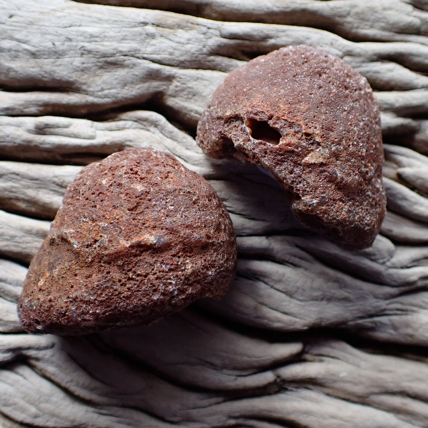 Unpolished rind Malawi agate 46 mm – iron-rich dark reddish-brown nodules showing natural surface texture and cavity opening, Ngabu origin | SKU 000382