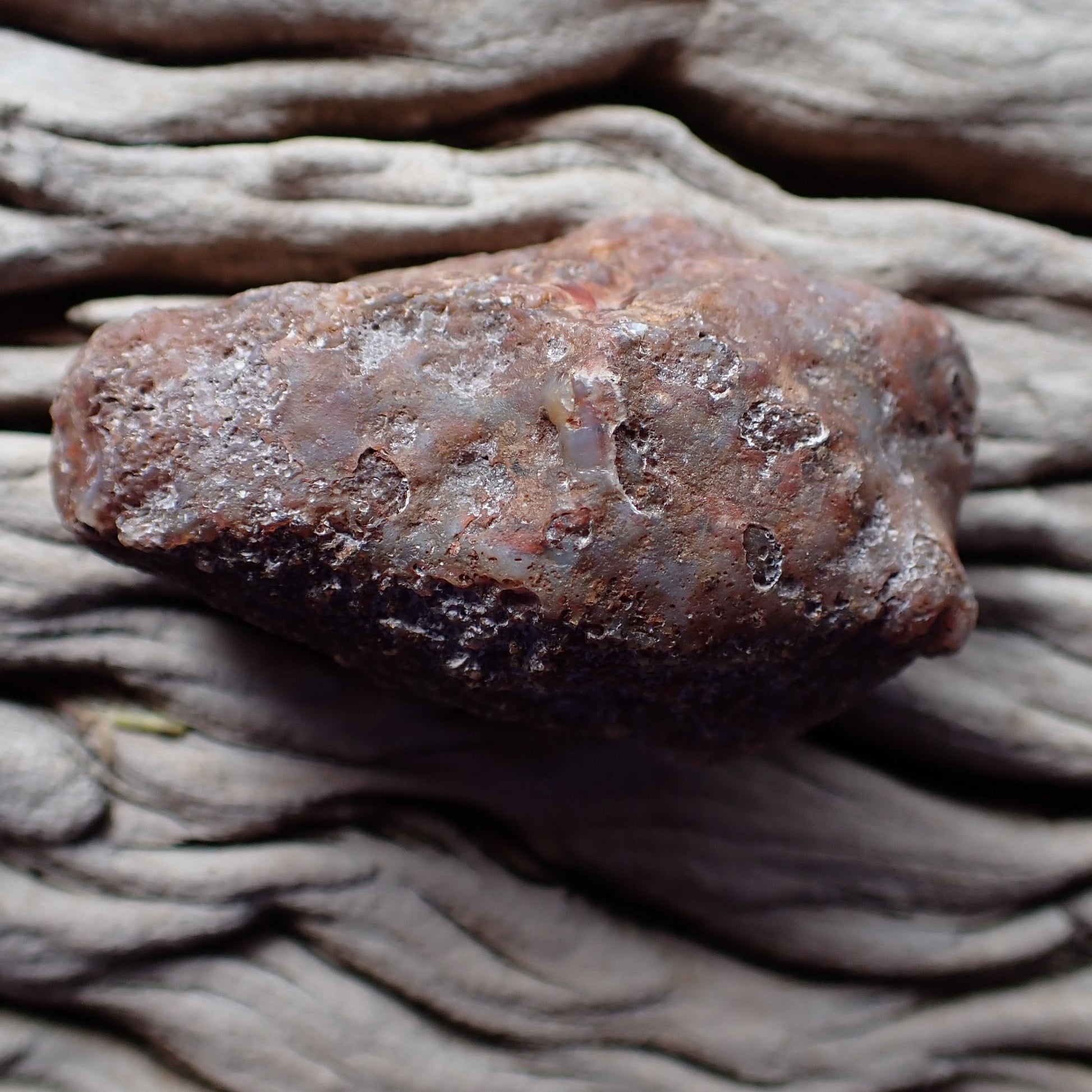 Unpolished rind Malawi agate 56 mm – dark iron-stained surface with reddish-brown patches, Ngabu origin | SKU 000385