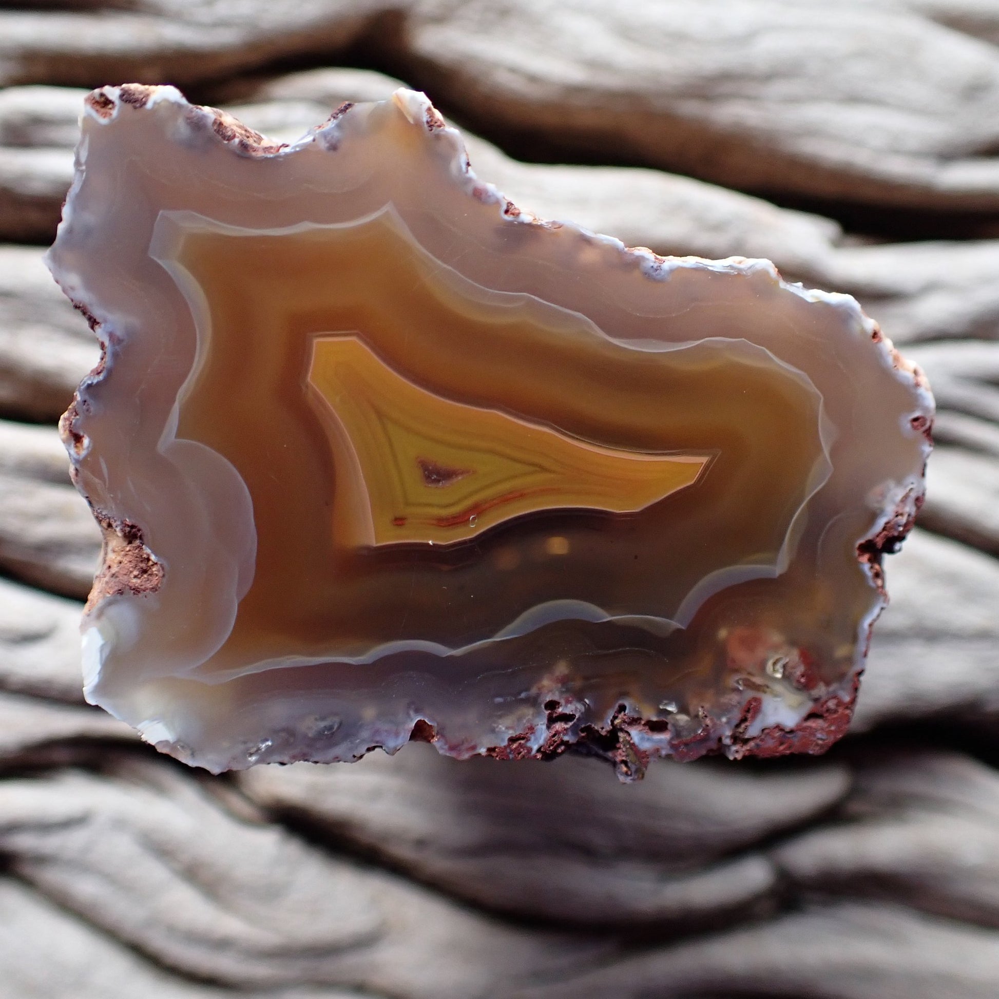 Natural Malawi agate 45 mm – honey-amber fortification banding, ghost banding, wide scalloped blue-grey chalcedony border, Ngabu origin, hand-polished in South Africa | SKU 000387