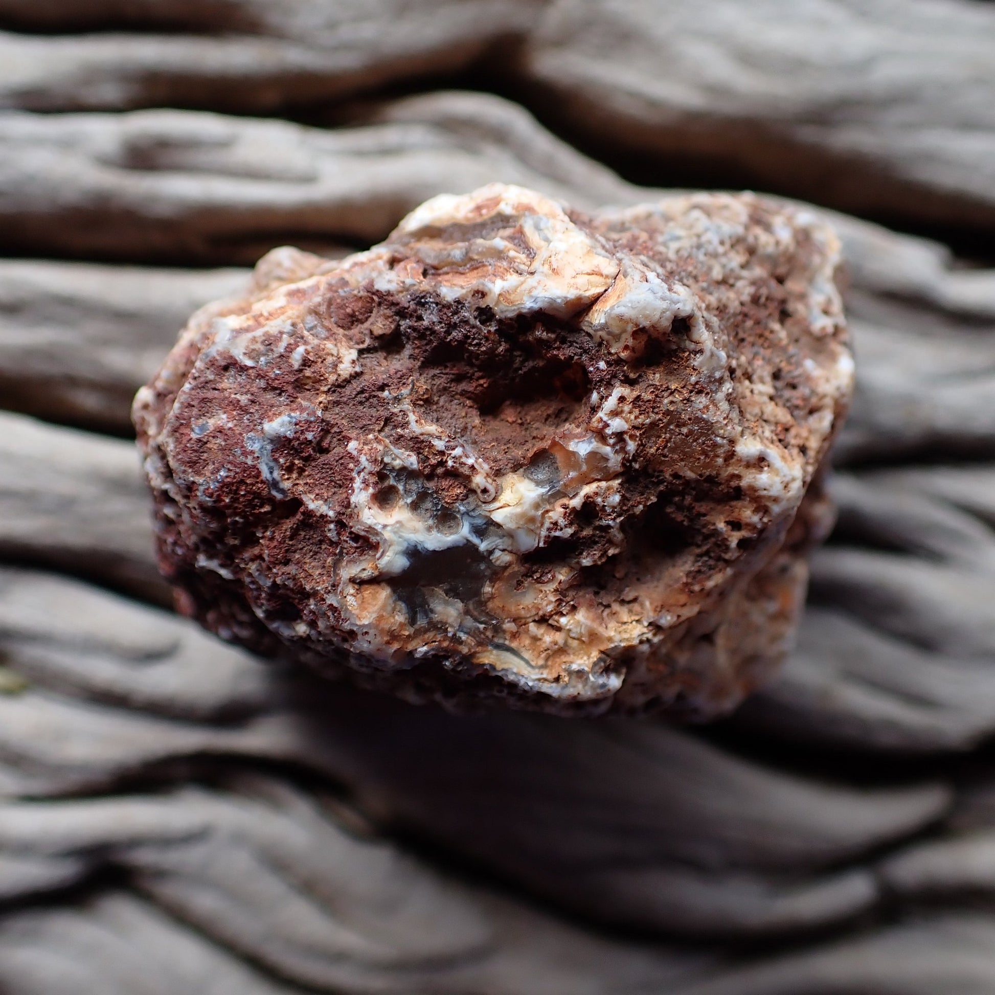 Unpolished rind Malawi agate 45 mm – dark iron-rich textured surface with pale chalcedony patches, Ngabu origin | SKU 000387
