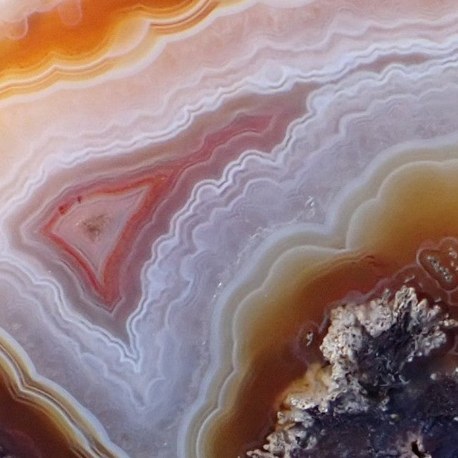 Close-up Malawi agate 52 mm – broad crazy lace banding with scalloped edges, sard-carnelian to cream-white colour transition, Ngabu origin | SKU 000388