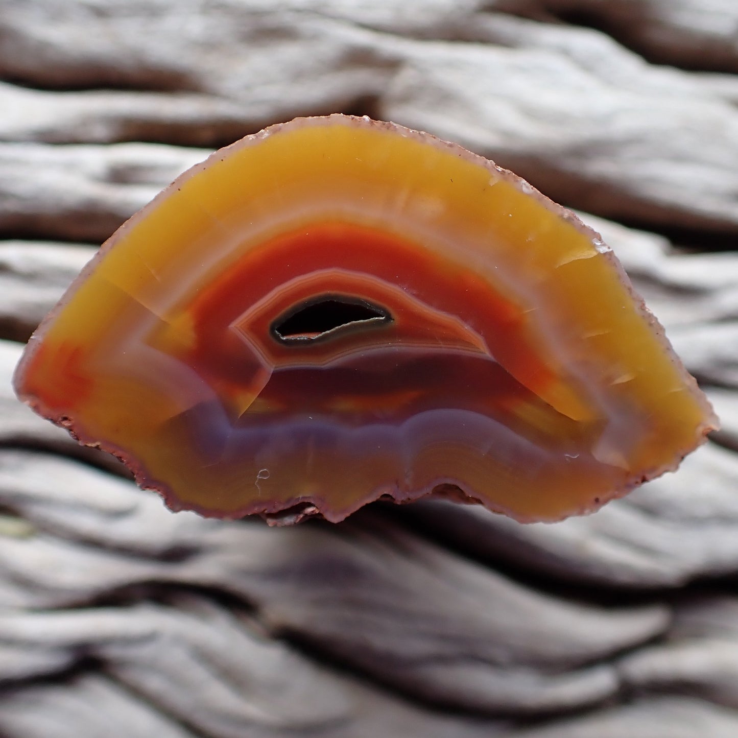 Vug Malawi agate 45 mm – front view, open vug, amber-gold to sard-red banding with blue-violet base, Ngabu-sourced hand-polished | SKU 000396