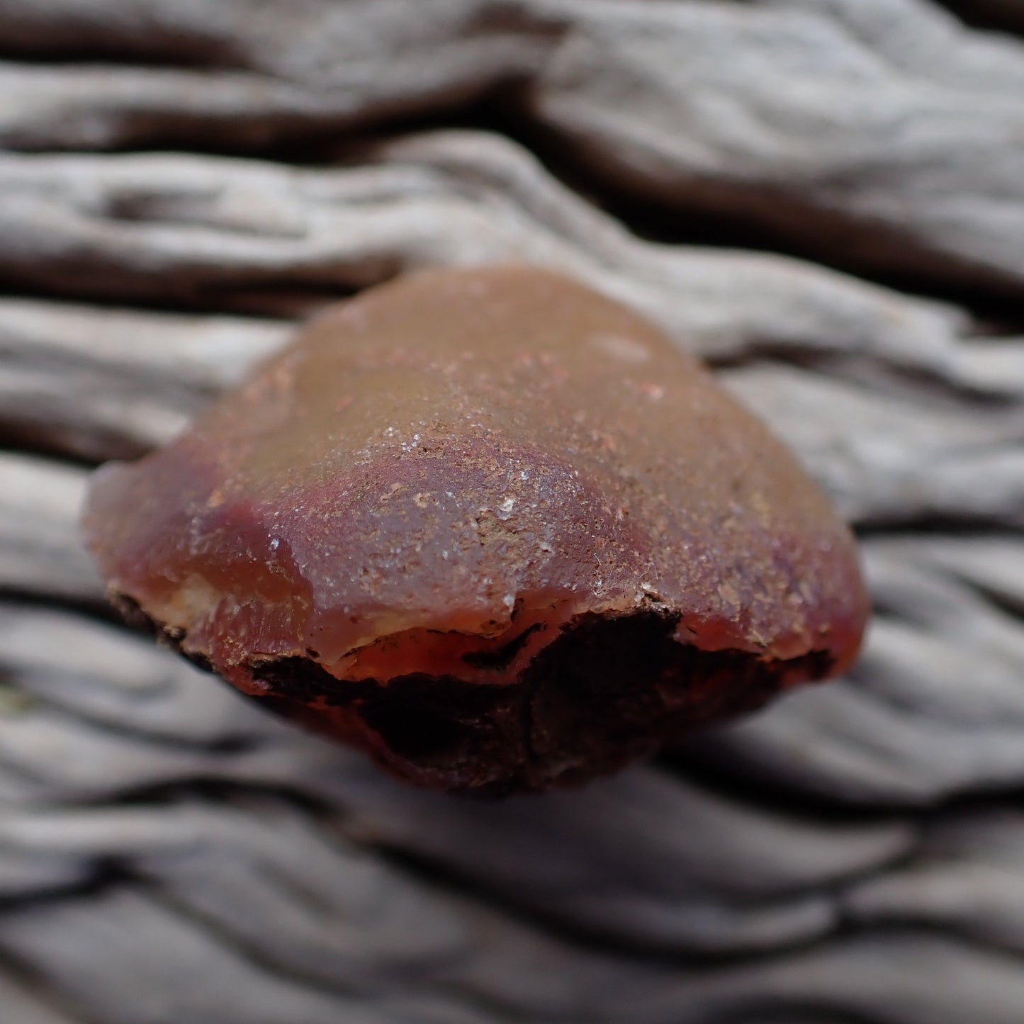 Vug Malawi agate 45 mm – unpolished reverse side, natural rind, Ngabu, Malawi | SKU 000396