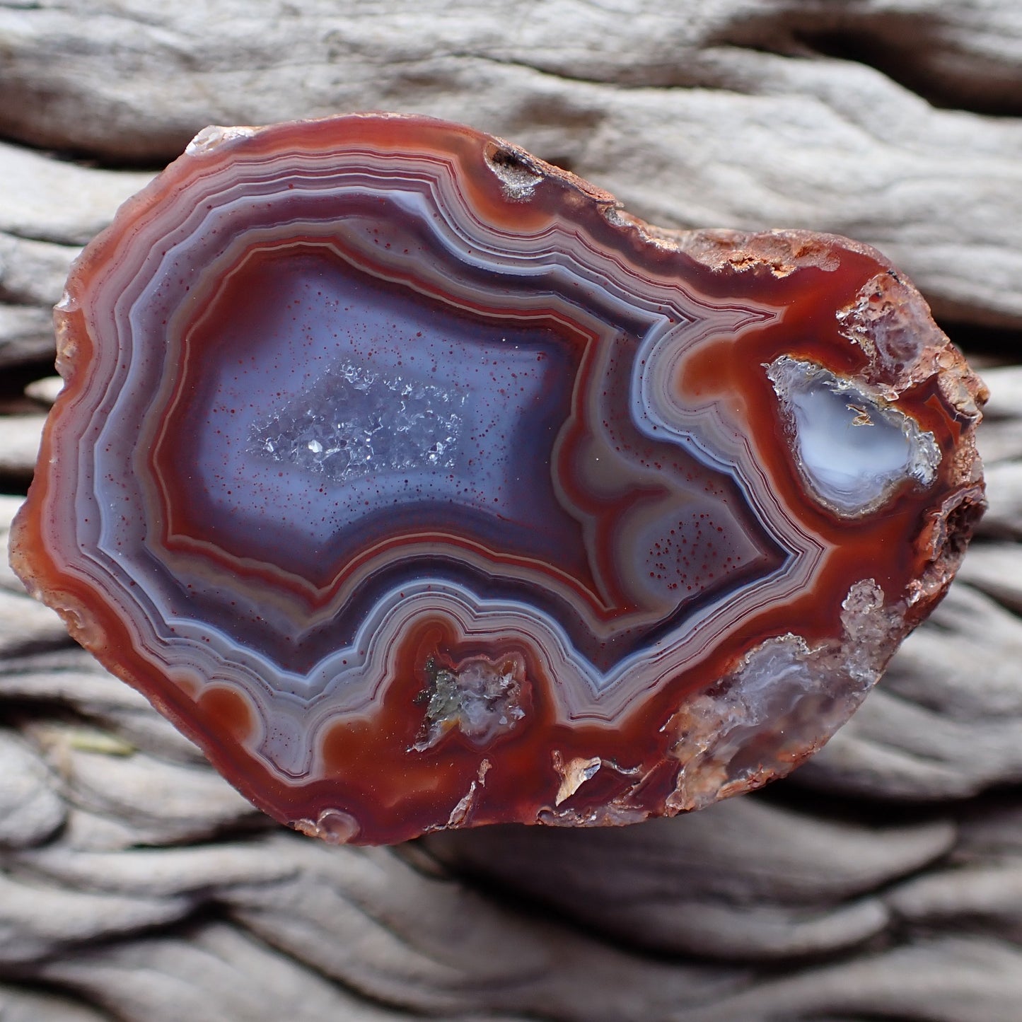 Fortification banding Malawi agate 54 mm – front view, angular fortification and scalloped banding, hematite inclusions, sard-red to blue-grey, Ngabu-sourced hand-polished | SKU 000397