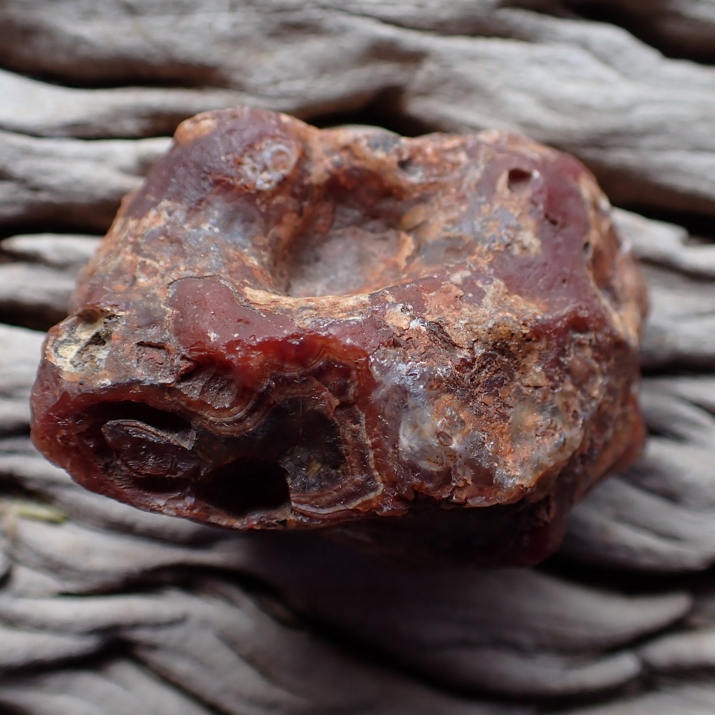 Fortification banding Malawi agate 54 mm – unpolished reverse side, natural rind, Ngabu, Malawi | SKU 000397