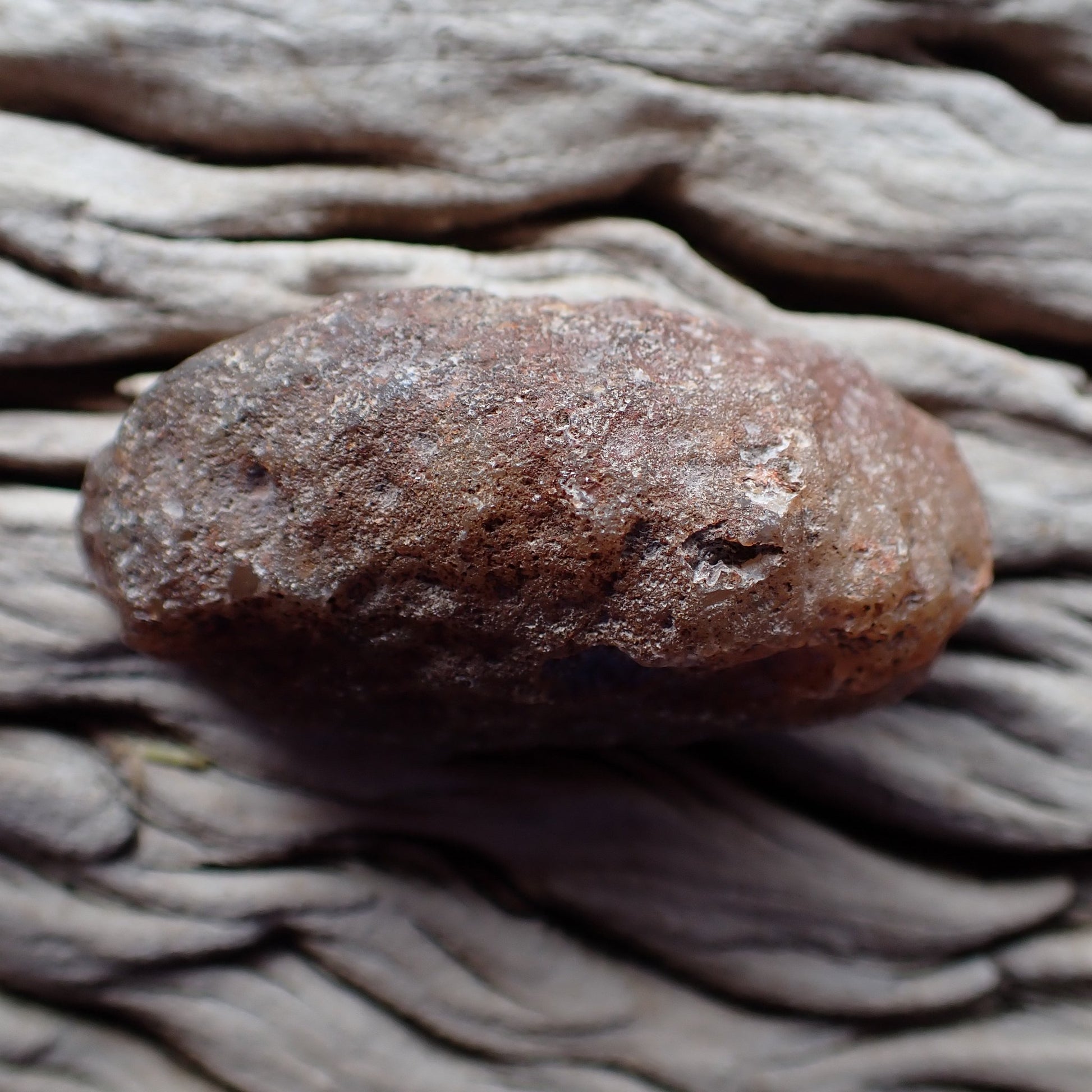 Ghost banding Malawi agate 63mm – unpolished reverse, natural rind, Ngabu Malawi origin | SKU 000399