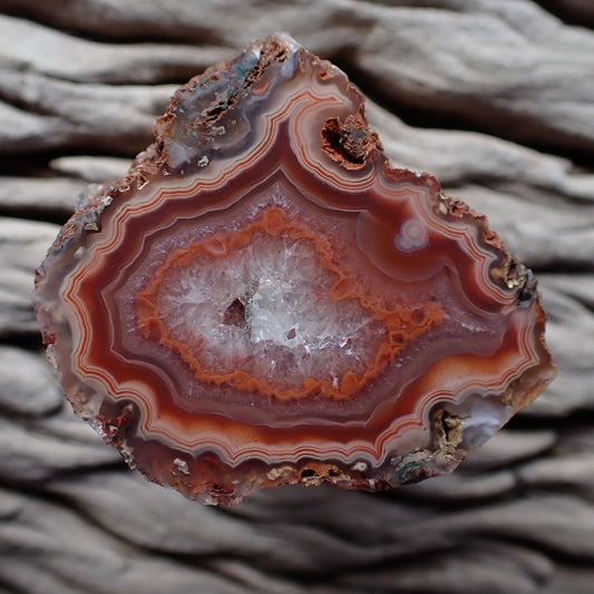 A grade collectors piece Polished Malawi agate from the Ngabu region with flow channels, an eye and fortification banding. Stunning red and peach, orange colours with a drusy centre