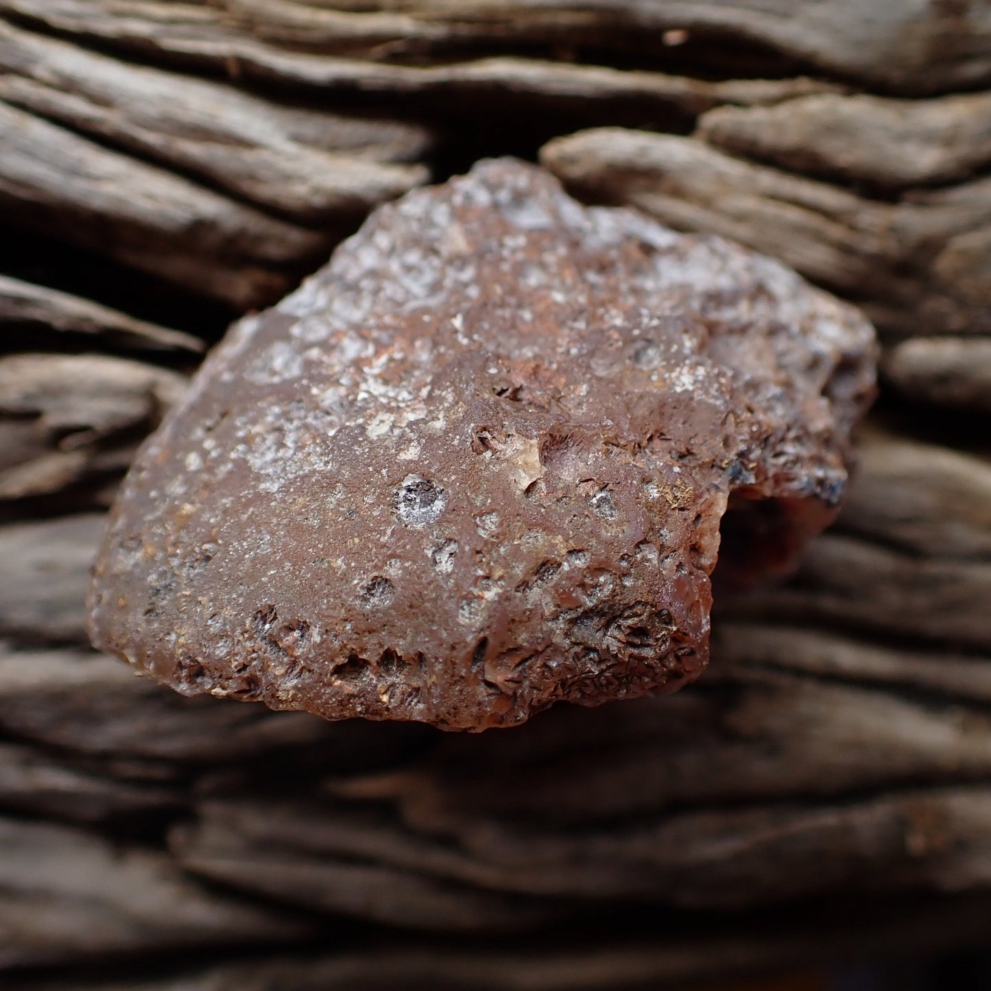 Unpolished rough side of Malawi agate showing natural texture