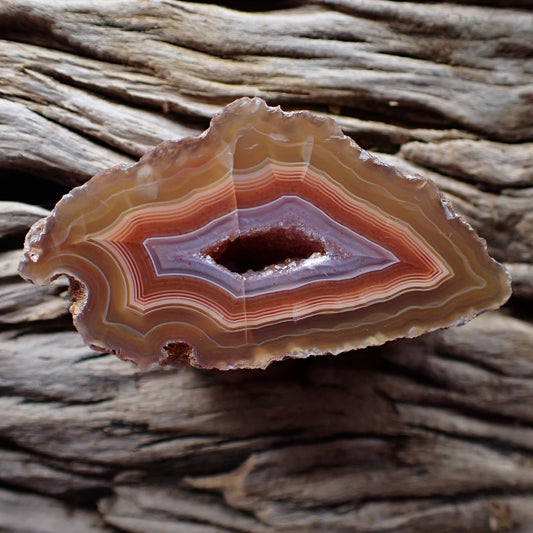 Polished Malawi agate from the Ngabu region with peach and salmon banding going into a drusy centre ringed in purple