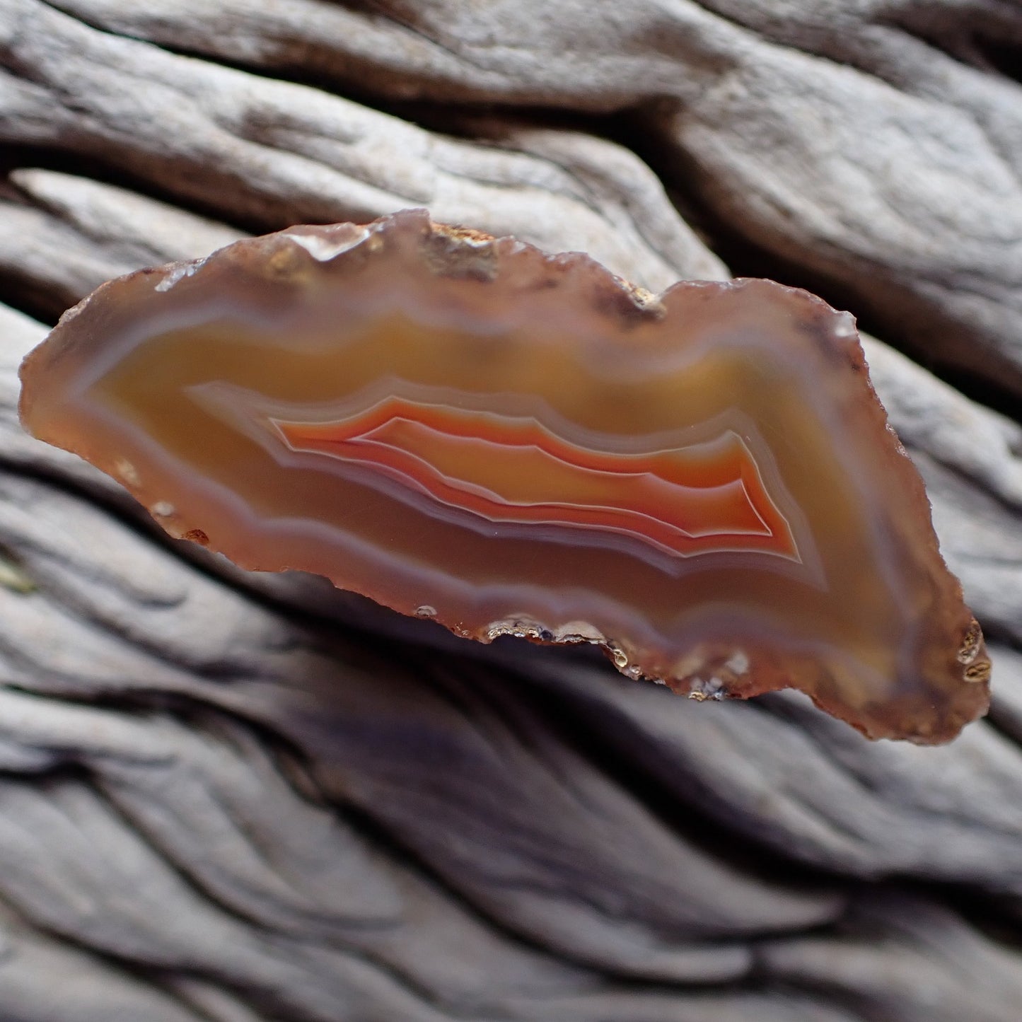 Polished Malawi agate from the Ngabu region with orange and white banding