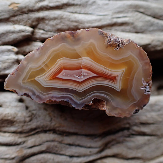 Polished Malawi agate from the Ngabu region with a cute crystalline centre banded in red white and orange