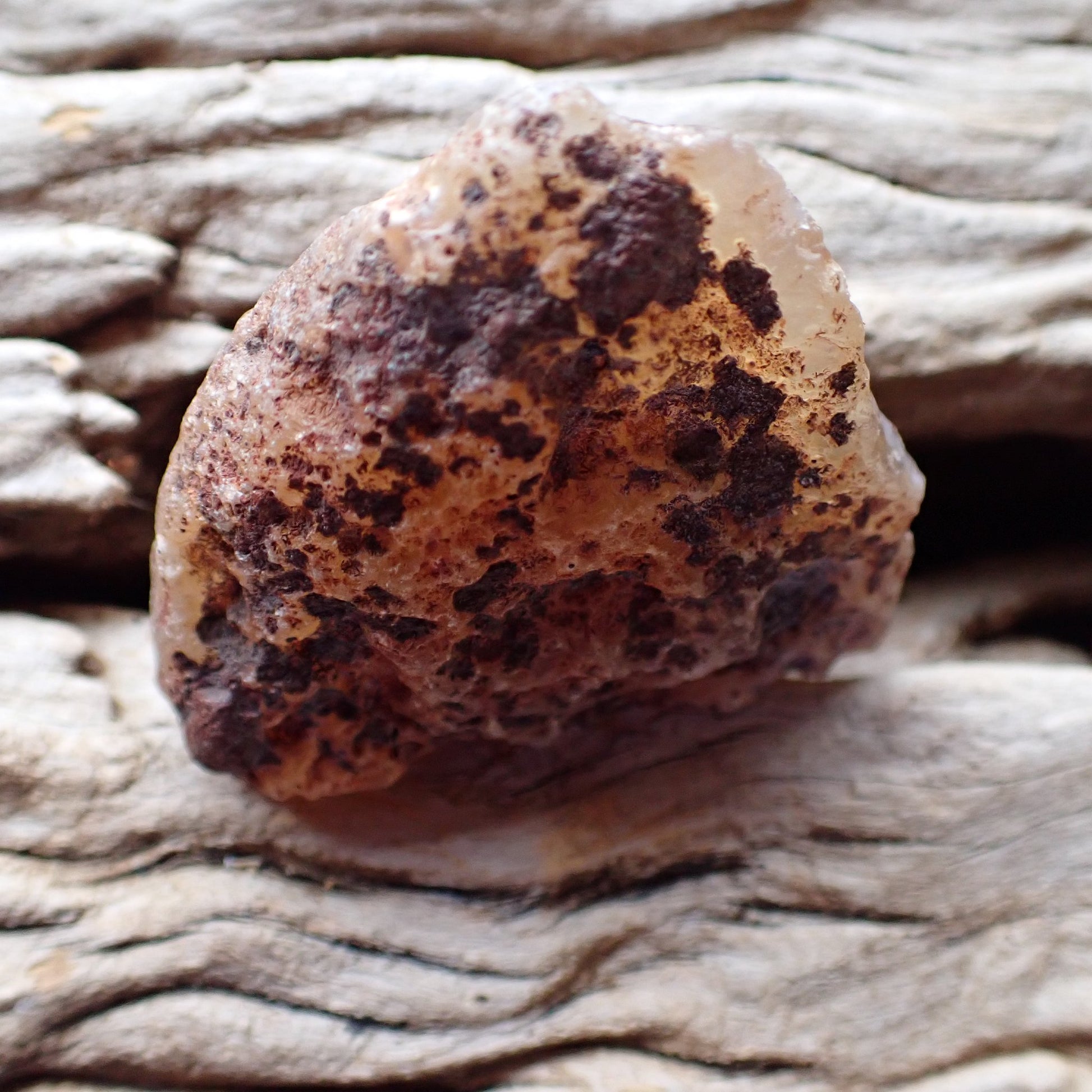 Unpolished rough side of Malawi agate showing natural texture and a degree of translucency 