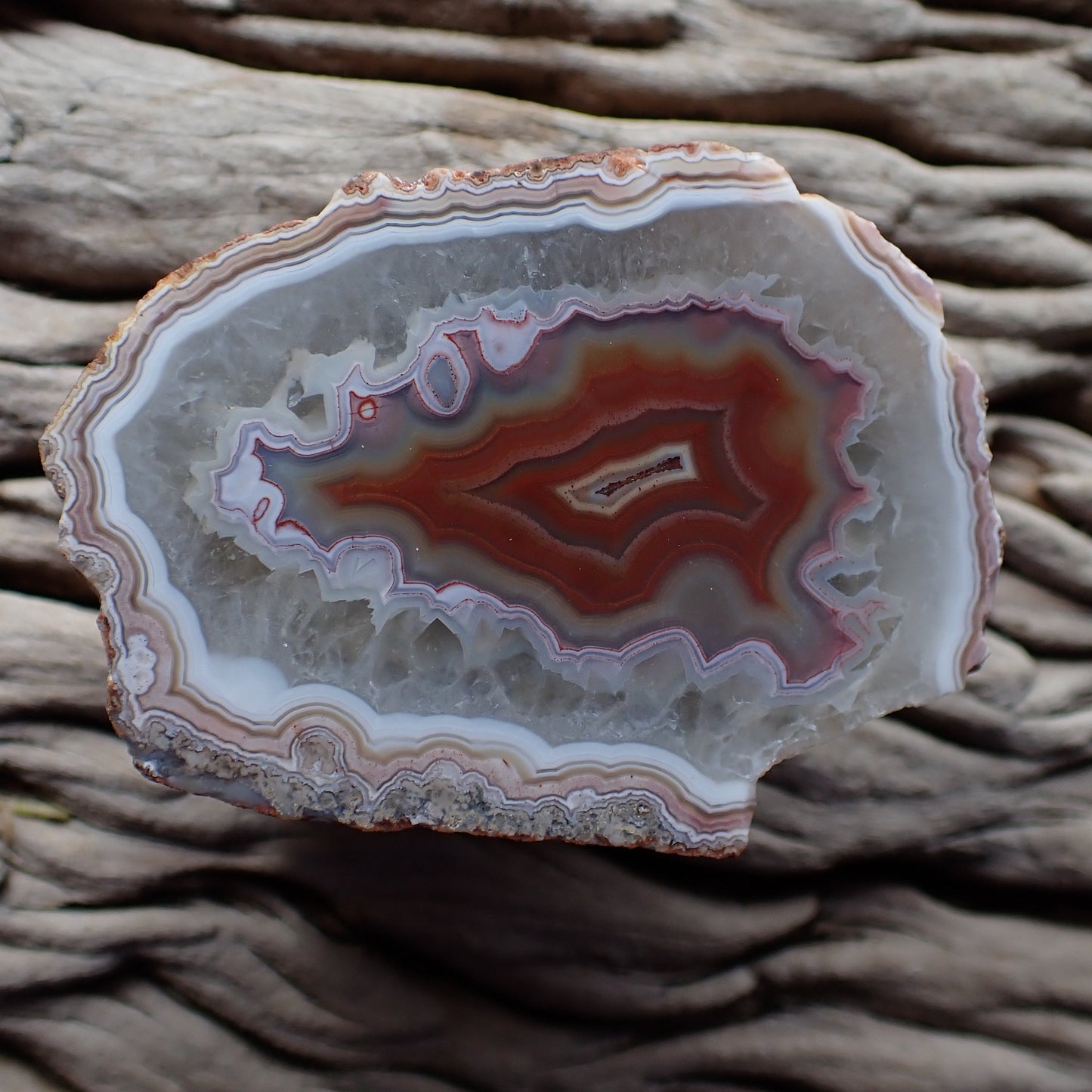Large polished Malawi agate from the Ngabu region with huge floater. Outer perimeter has lovely soft pastel banding. Floater in reds and purple with crazy outline patterning