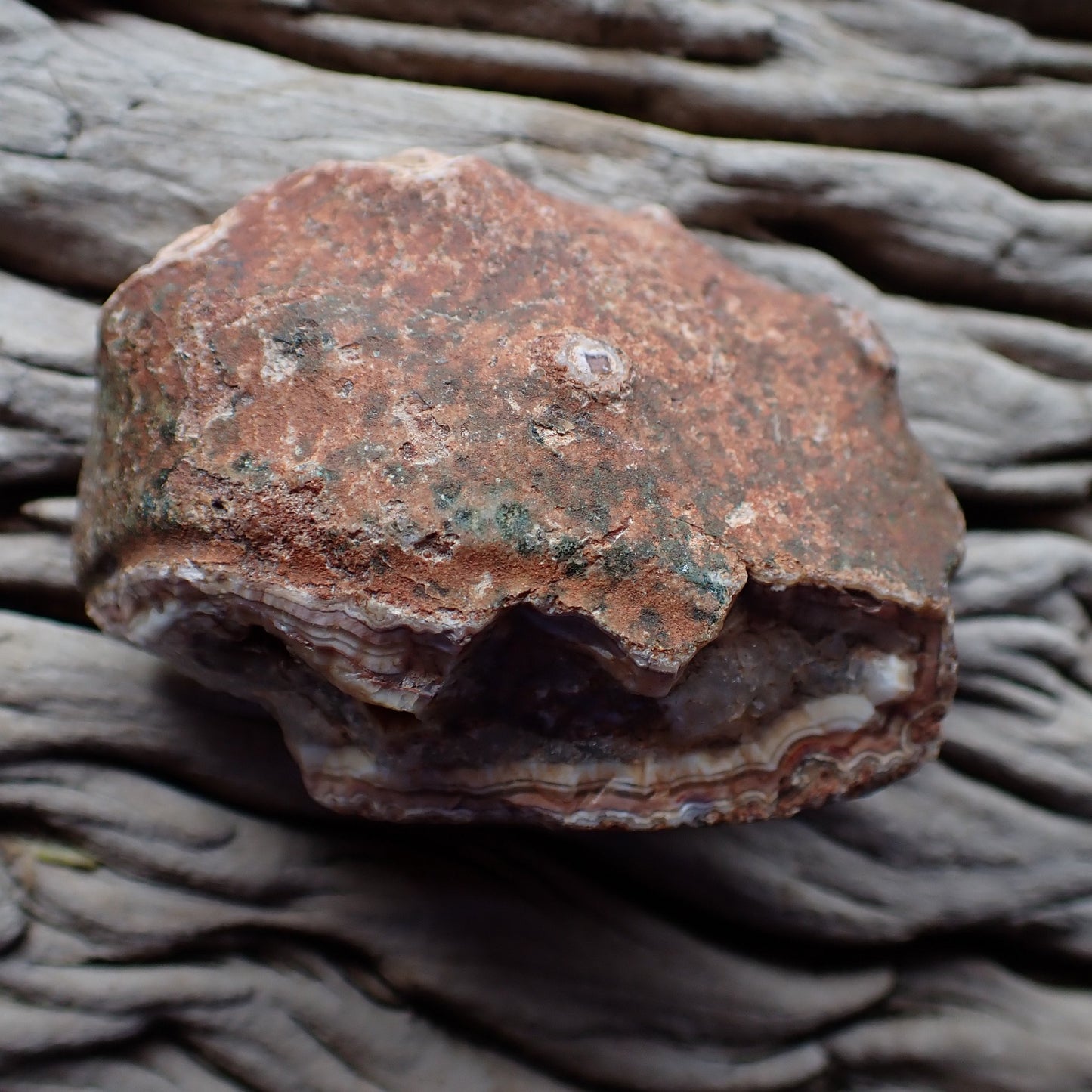 Unpolished rough side of Malawi agate showing natural texture and break line